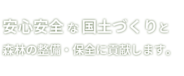 森林土木ハンドブック 6版(南方康・秋谷孝一 監修) / 古本、中古